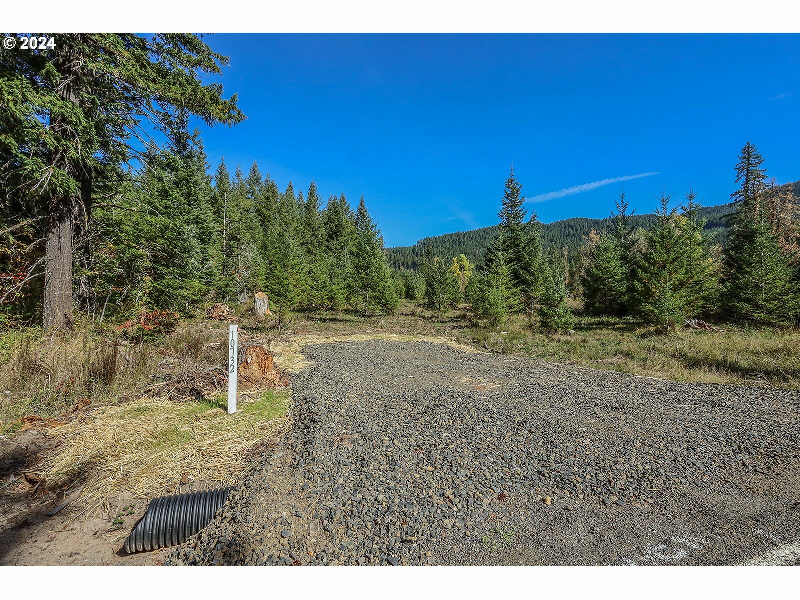 10732 Wind River Hwy  Carson WA 98610 photo