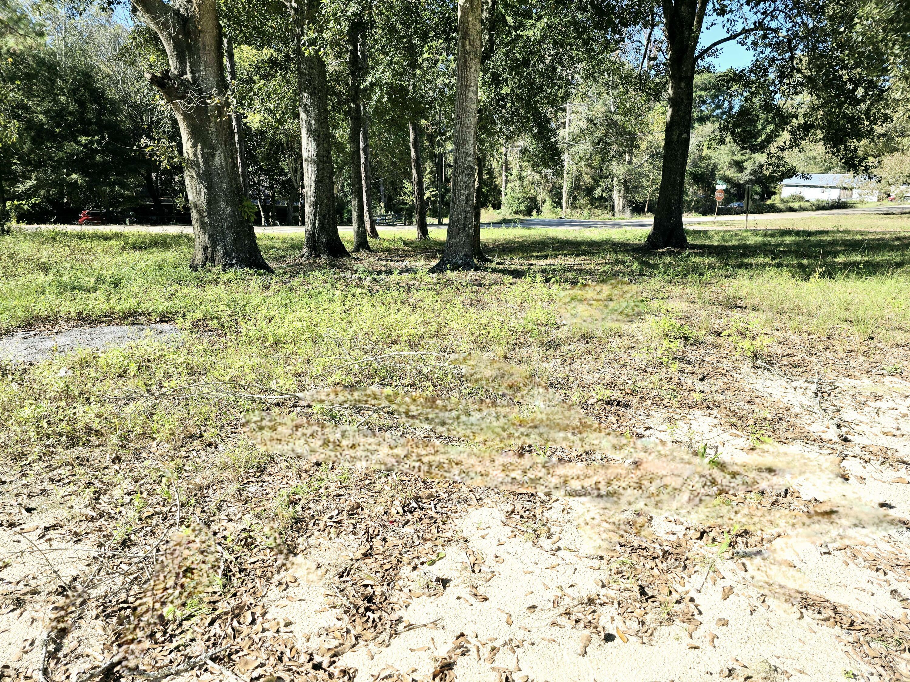 Property Photo:  Lot 14 Bayview Drive  FL 32567 