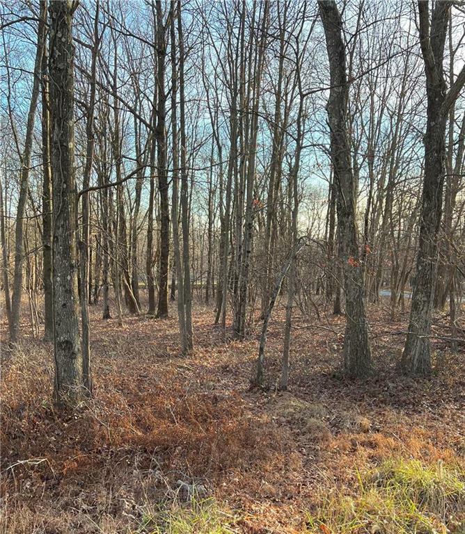 Property Photo:  119 Seneca Road  PA 18210 