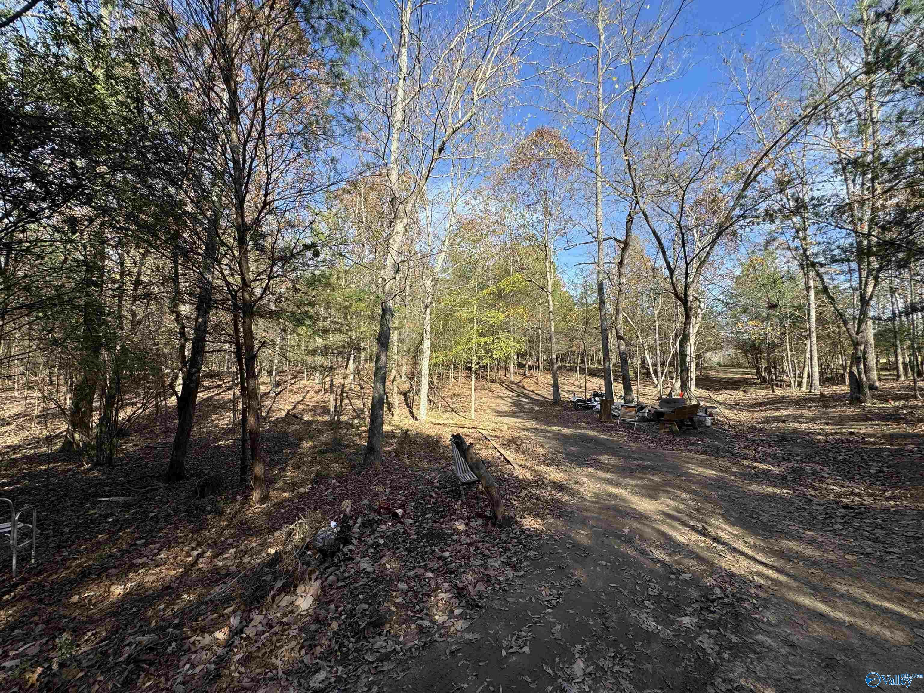 Property Photo:  8.02 Acres County Road 361  AL 35765 