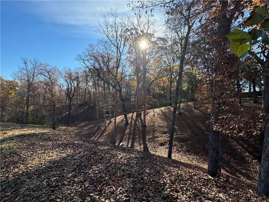 Property Photo: Lot 7 Avalon Drive AR 72758