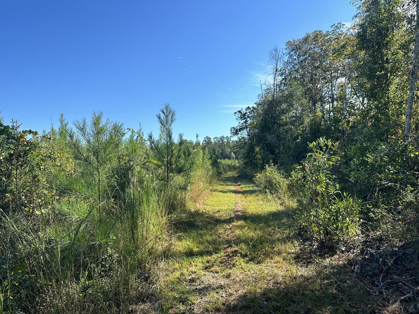 Property Photo:  Parcel K Buck Tyner Road  FL 32567 