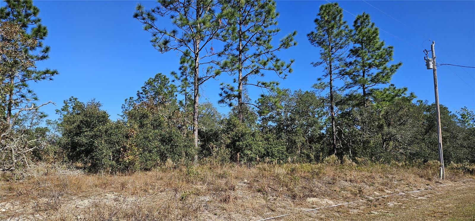 Property Photo:  Lot 10 SW Nectarine Lane  FL 34431 