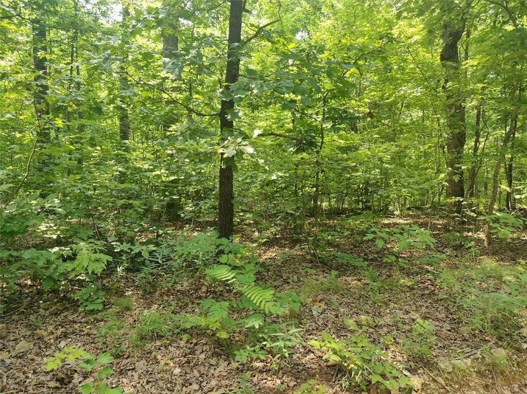 Property Photo:  Lot 1 Leith Lane  AR 72715 