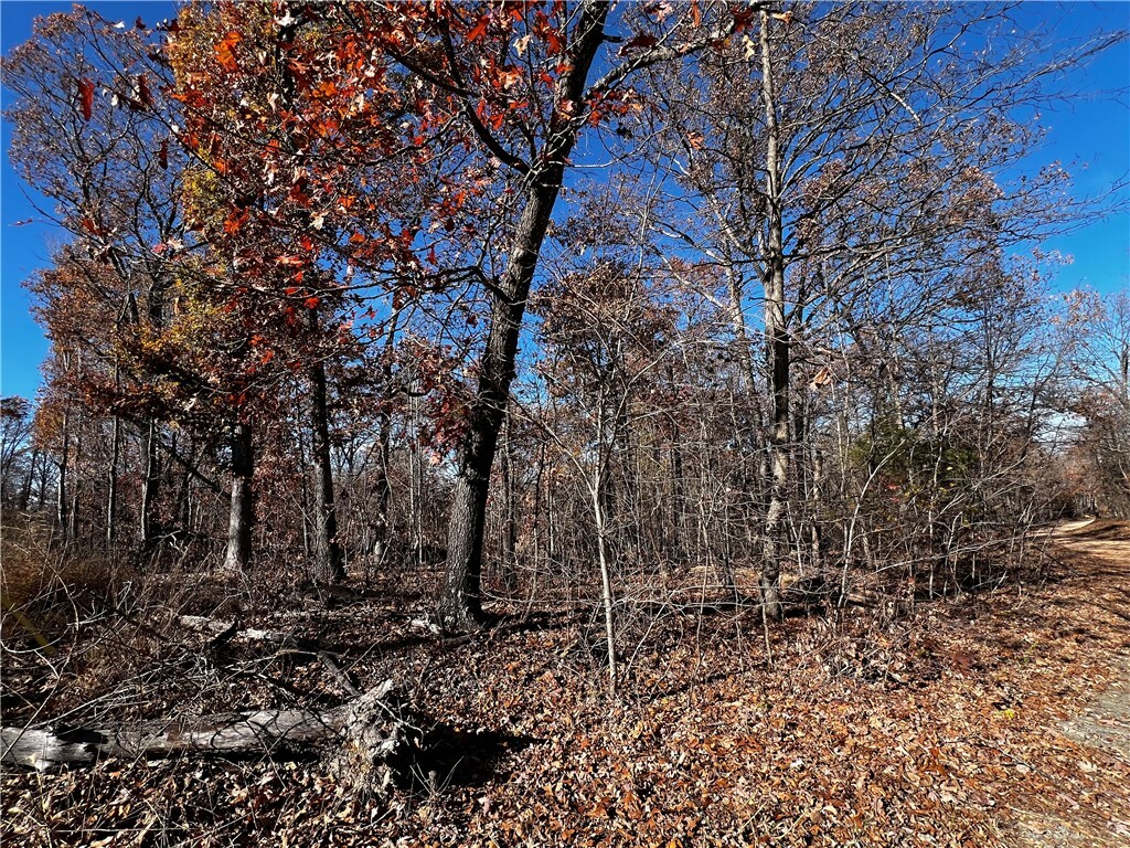 Property Photo:  Lot 1 Leith Lane  AR 72715 