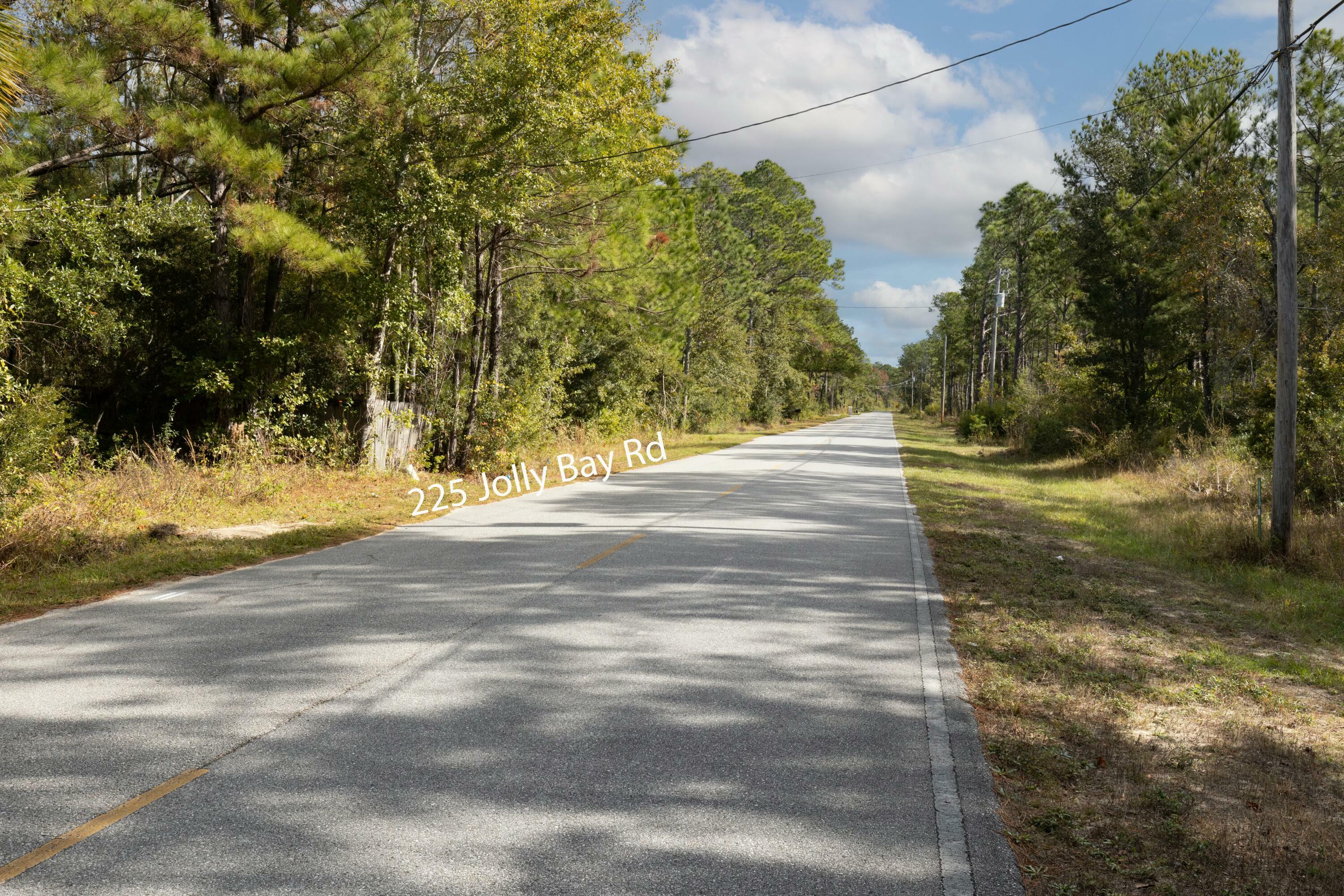 Property Photo:  225 Jolly Bay Road  FL 32439 