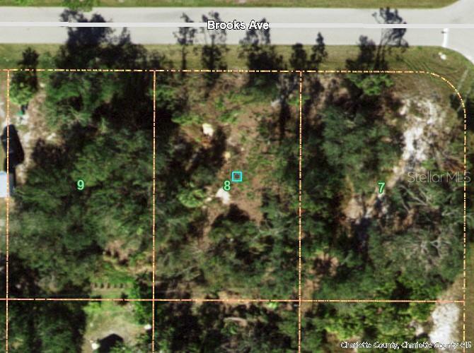 Property Photo:  21471 Brooks Avenue  FL 33954 