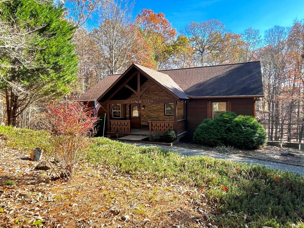 199 Orlon Drive  East Ellijay GA 30540 photo