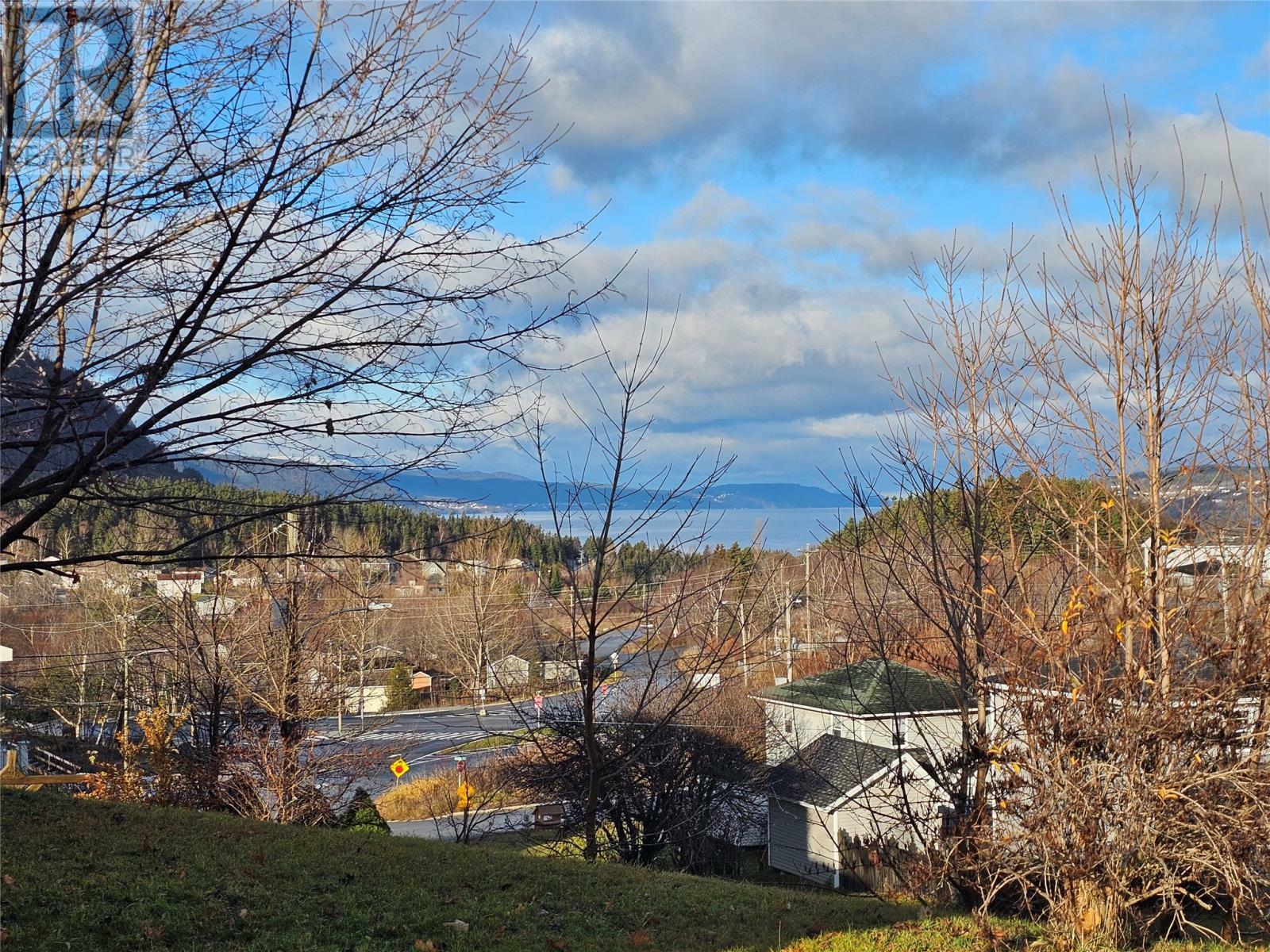 Property Photo:  4 Youngs Avenue  NL A2H 3V6 