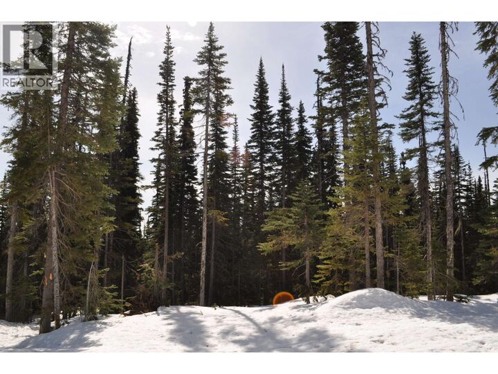 Property Photo:  12 Alpine Way Pst  BC V0J 2N0 