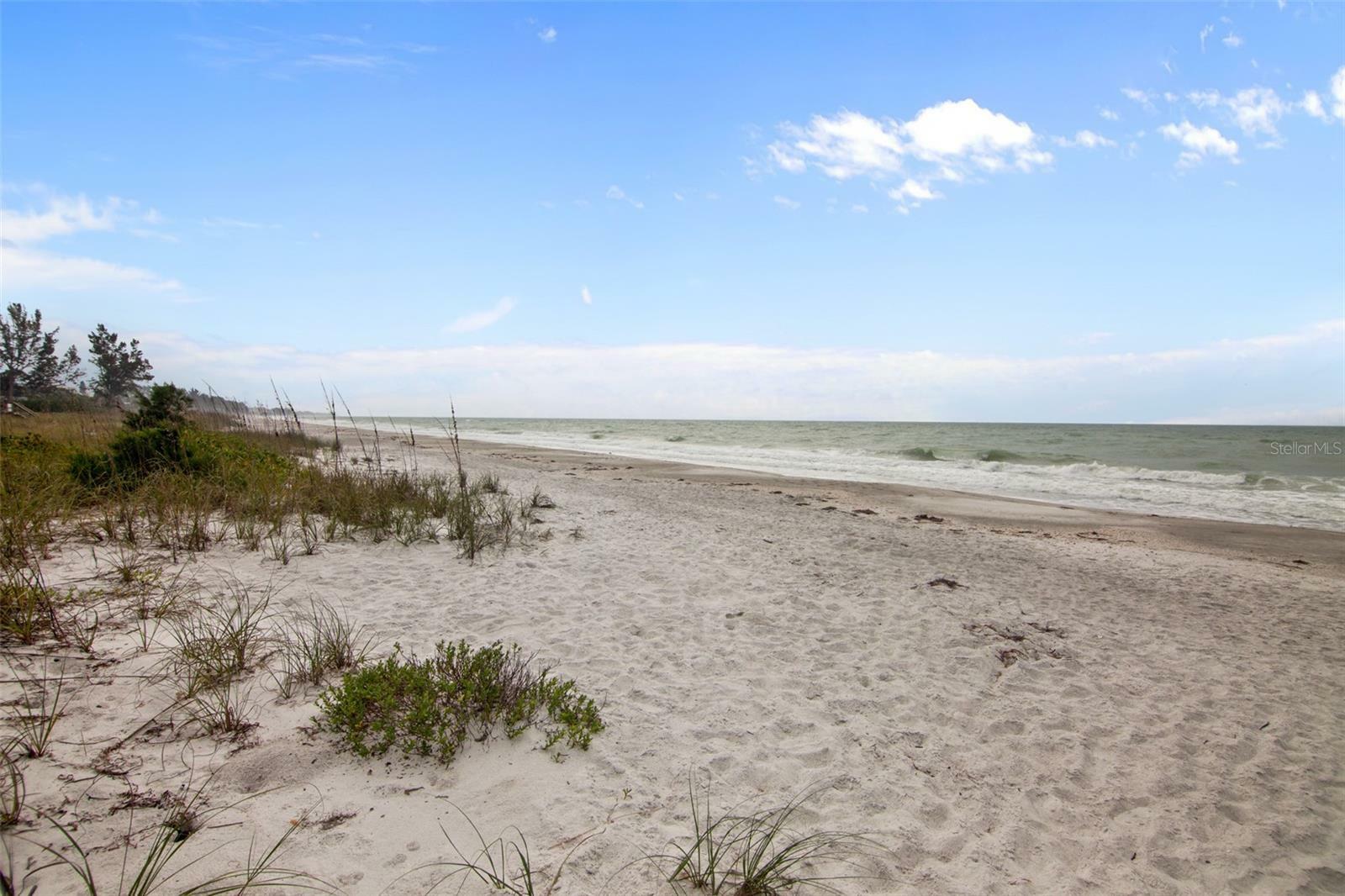 Property Photo:  5655 Gulf Of Mexico Drive D205  FL 34228 