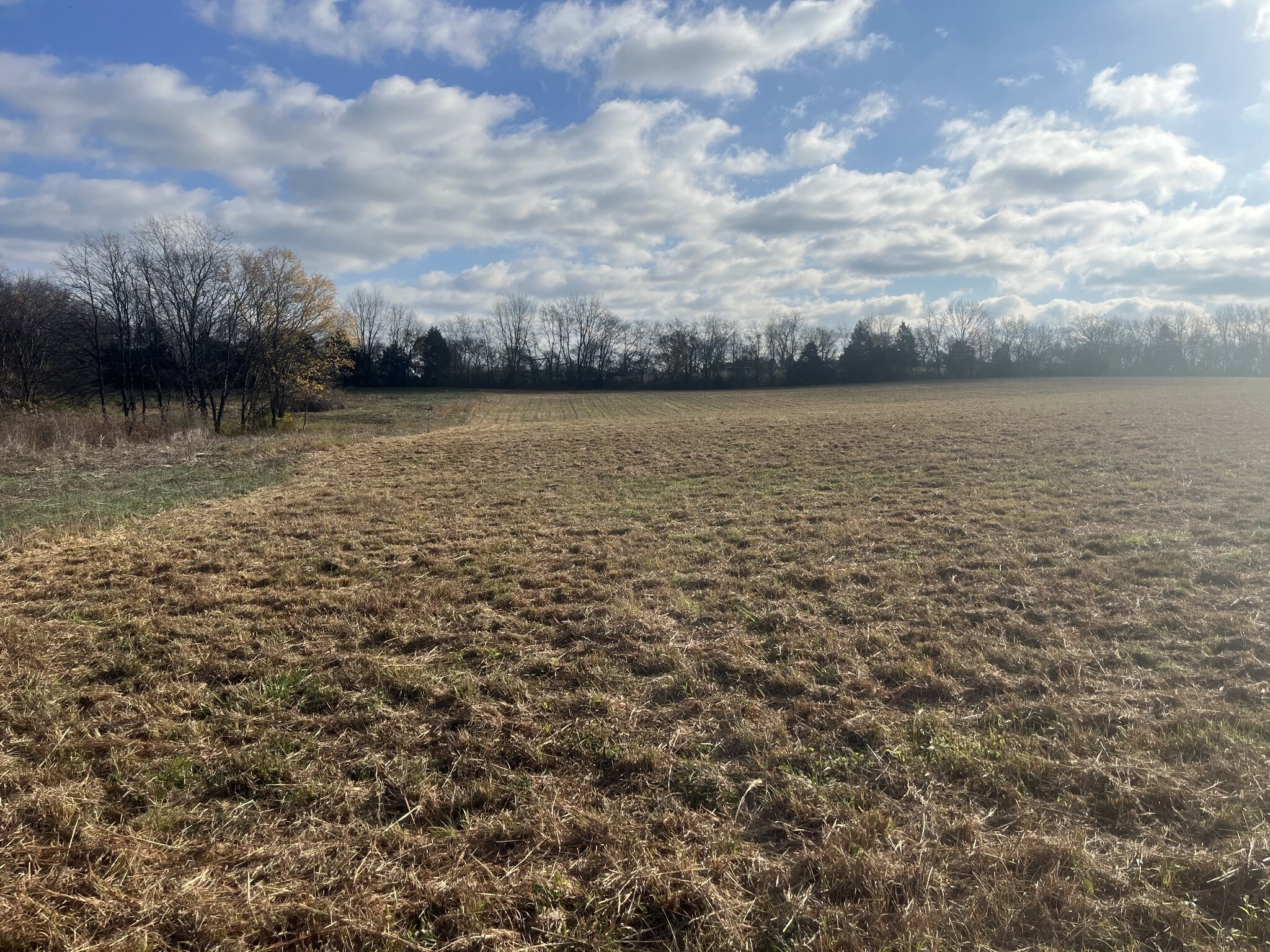 Property Photo:  1394 Littleton Ranch Rd  TN 37031 