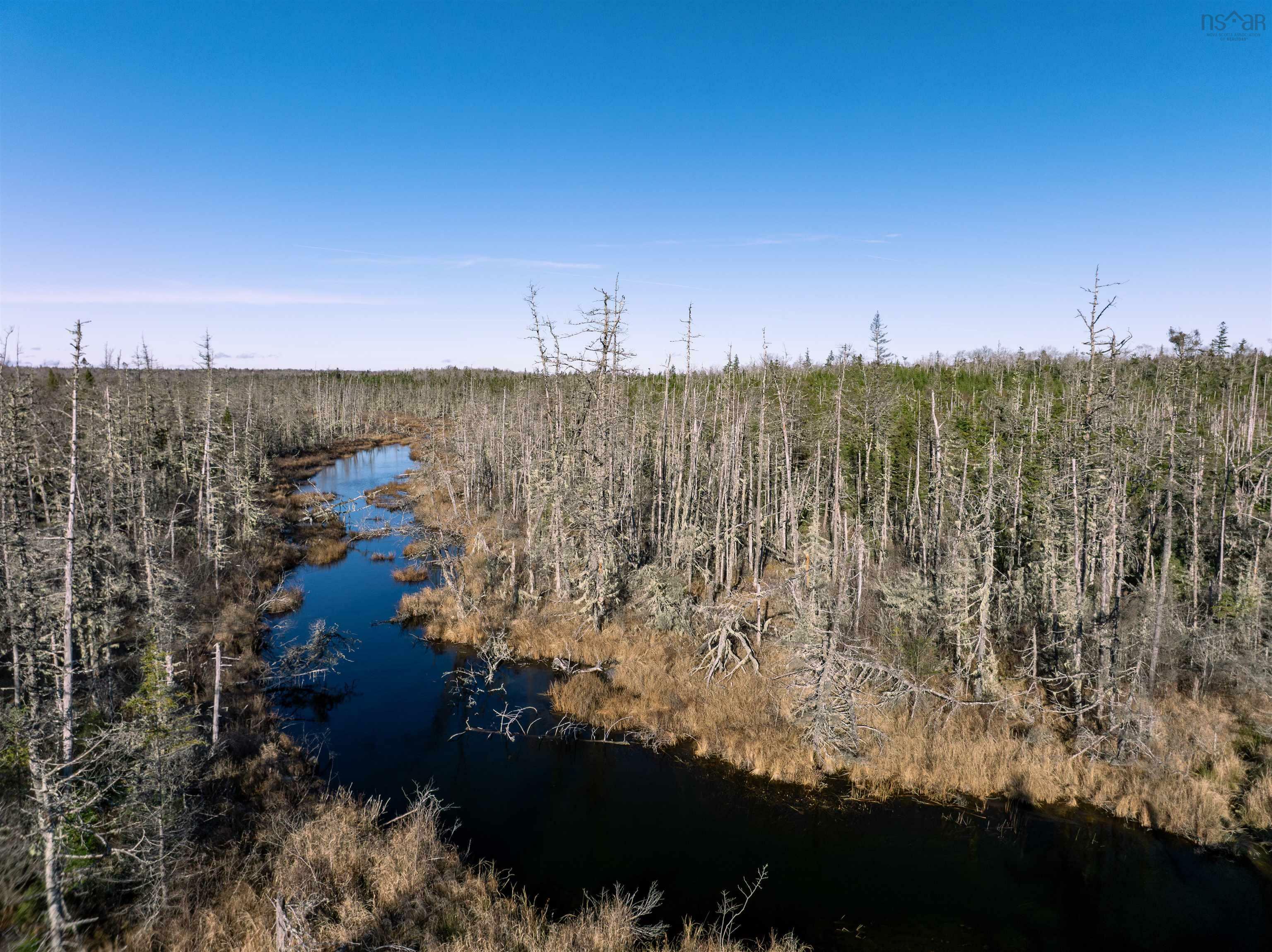 Property Photo:  Dufferin Mines Road Lot  NS B0J 2R0 