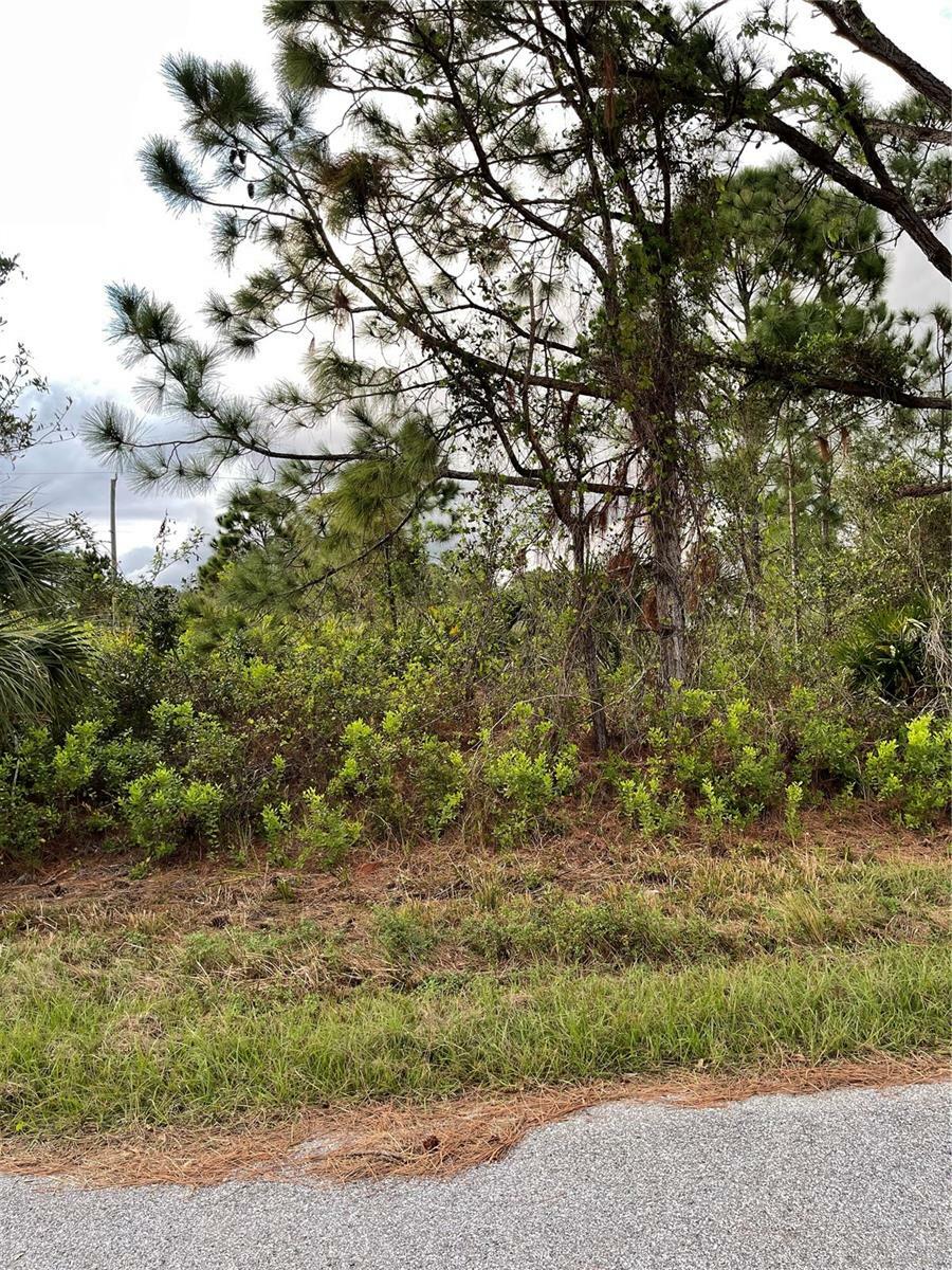 Property Photo:  Cordova Terrace  FL 34291 