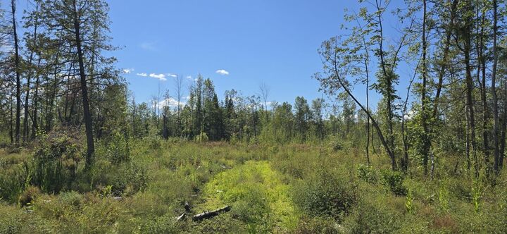 Property Photo: 0 Constable Burke Town Line Road NY 12917