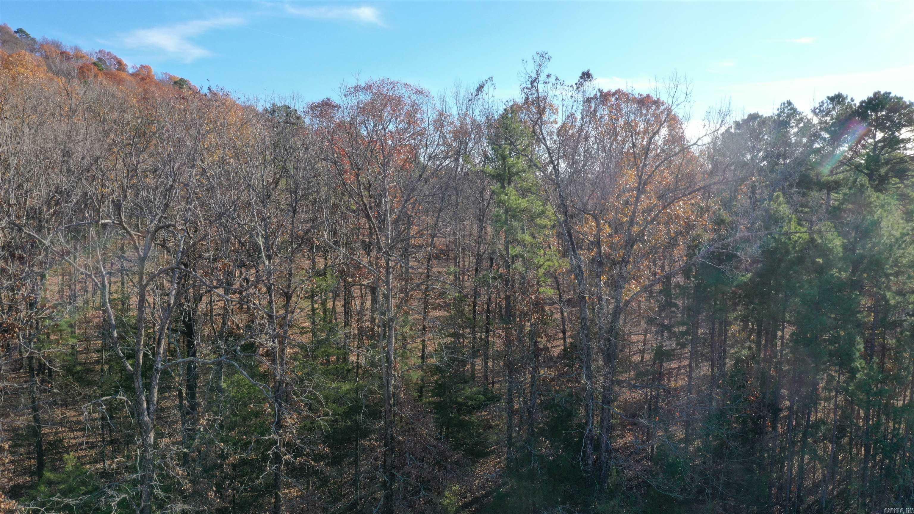 Property Photo:  Lot 5 Old Military Rd  AR 72034 