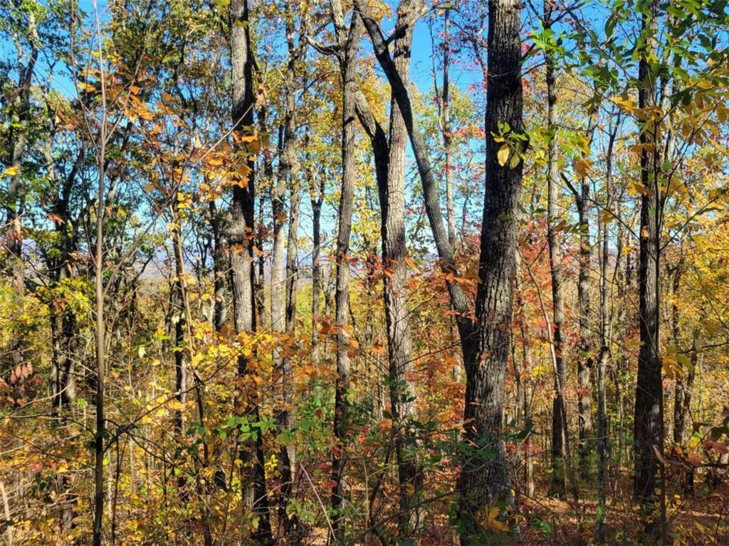 Property Photo:  8 Ac Old Burnt Mountain  GA 30540 