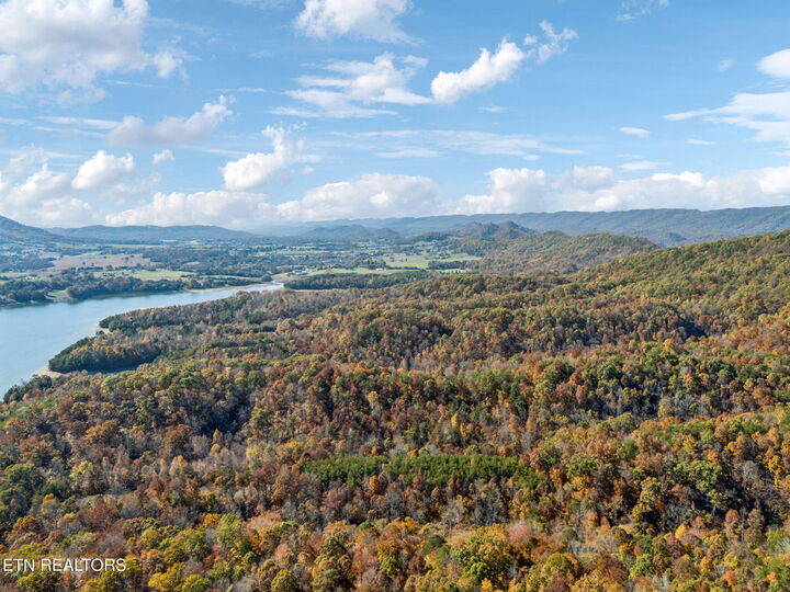 Property Photo:  Mooresburg Springs Rd  TN 37811 