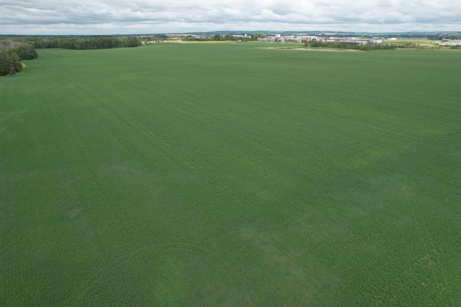 On Township Road 374  Rural Red Deer County AB T4E 1P8 photo