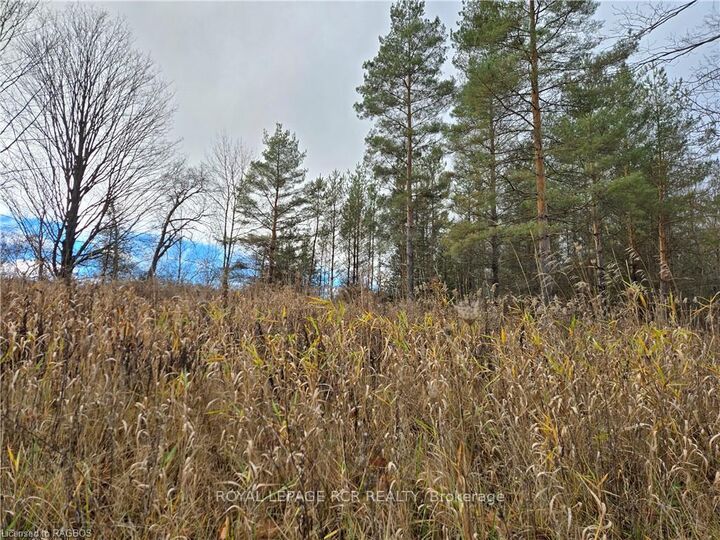 Property Photo: Lt 8 Ws Highway 6 N/A ON N0H 2V0