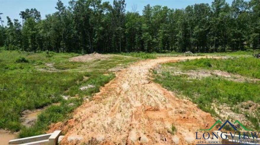 Property Photo:  Lot 1 Waldron Ferry Estates  TX 75650 