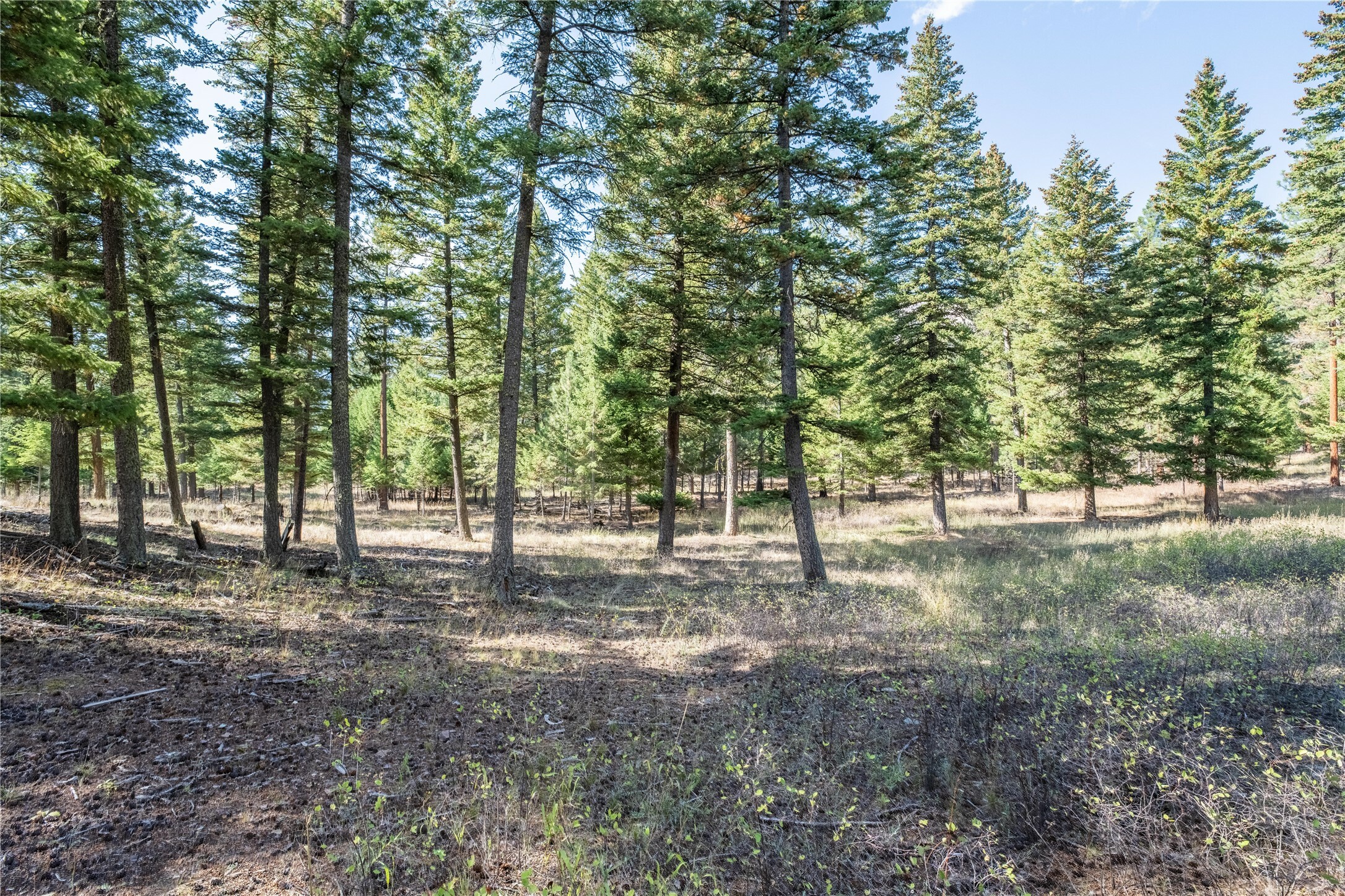 Property Photo:  Lot 17 Caddisfly Court  MT 59825 