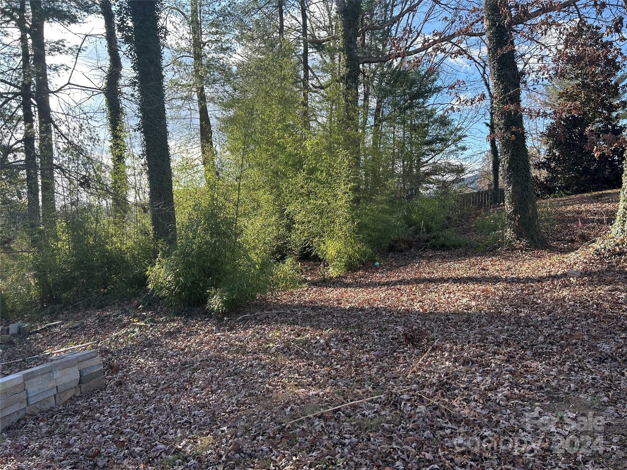 Property Photo:  186 Johnston Boulevard  NC 28806 