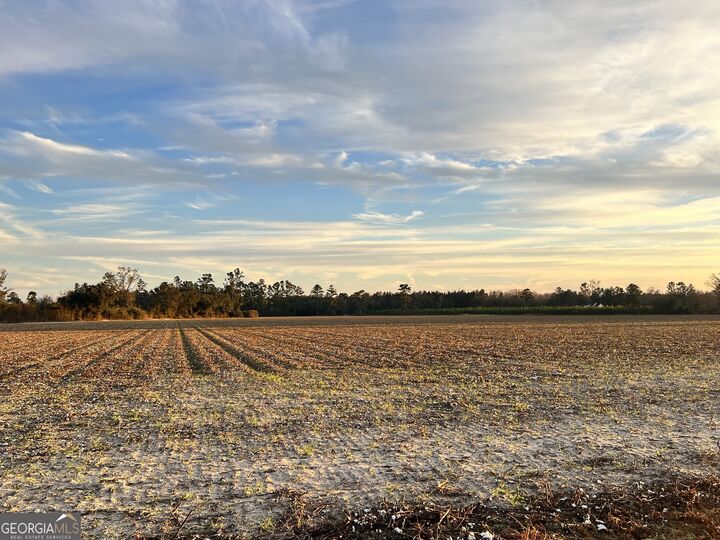 Property Photo:  0 W P Clifton Road  GA 30415