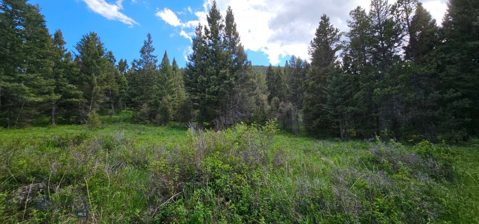 11 Hall Creek Tract  Helmville MT 59843 photo