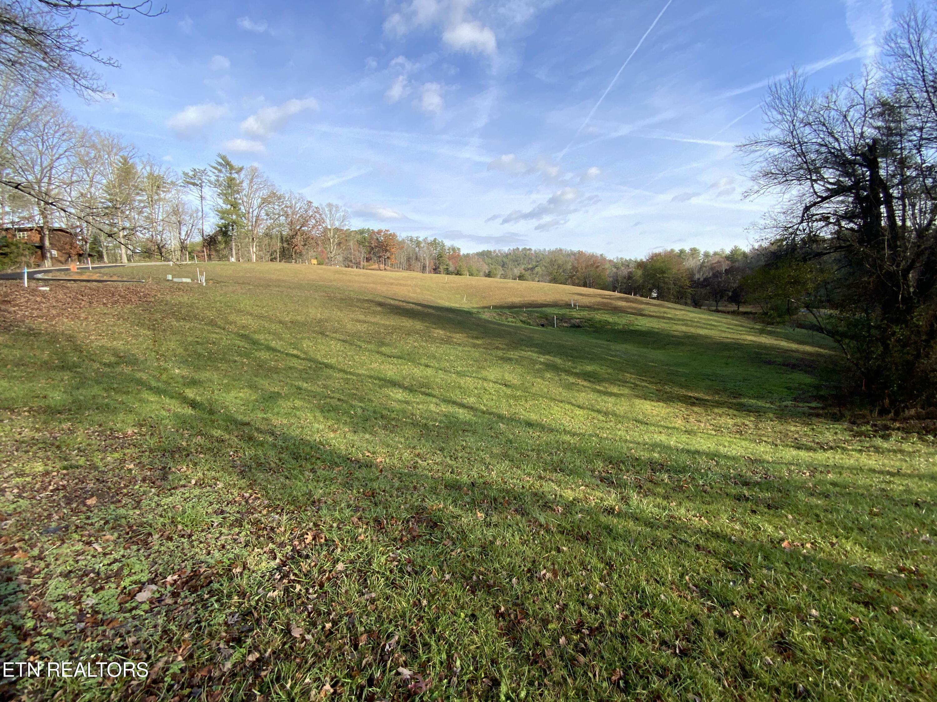 Property Photo:  Lot #75 Max Ridge Lane  TN 37862 