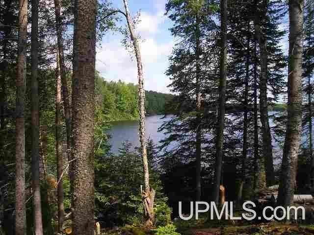 Lot 43C E Fence Lake Road  Michigamme MI 49861 photo