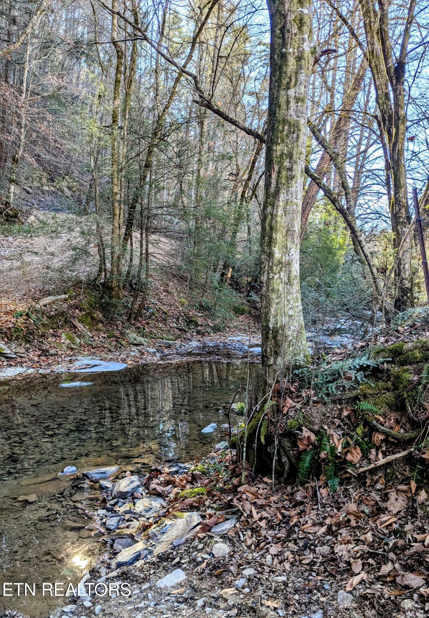 Property Photo:  Carrs Creek Rd  TN 37882 