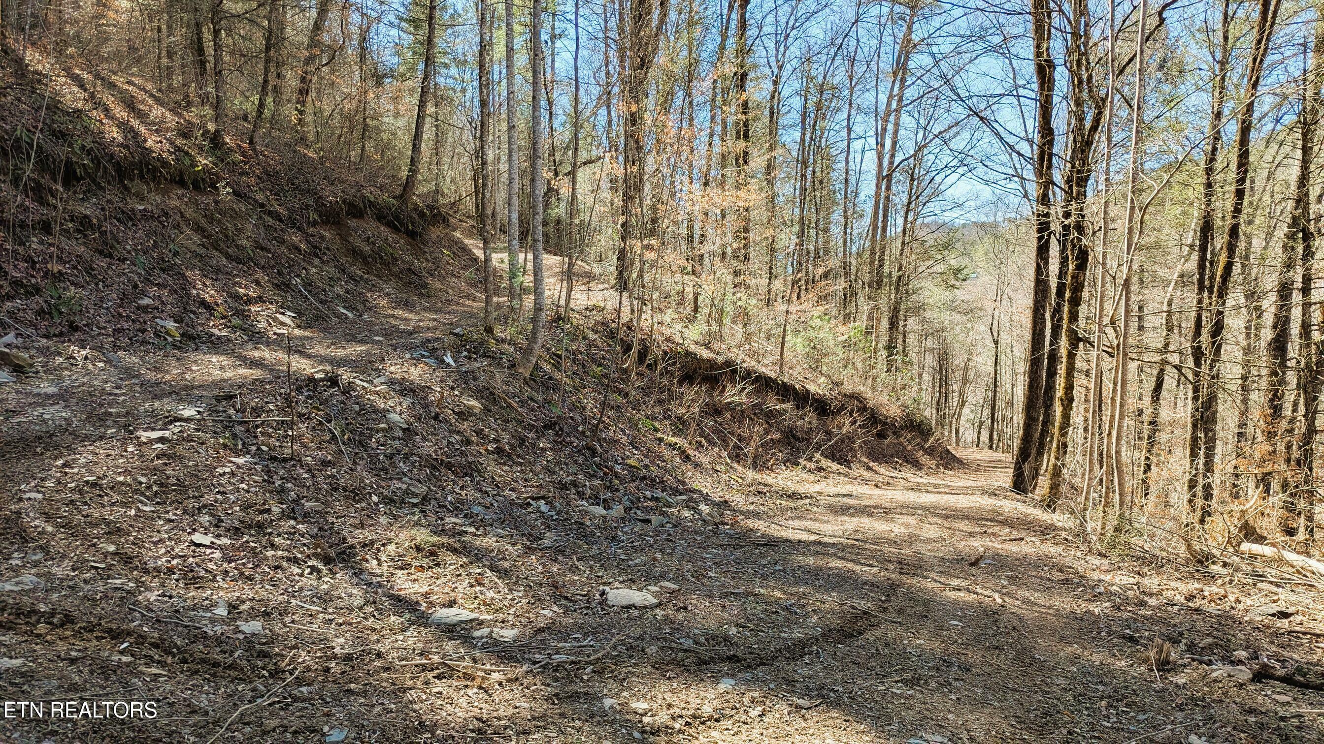 Property Photo:  Carrs Creek Rd  TN 37882 