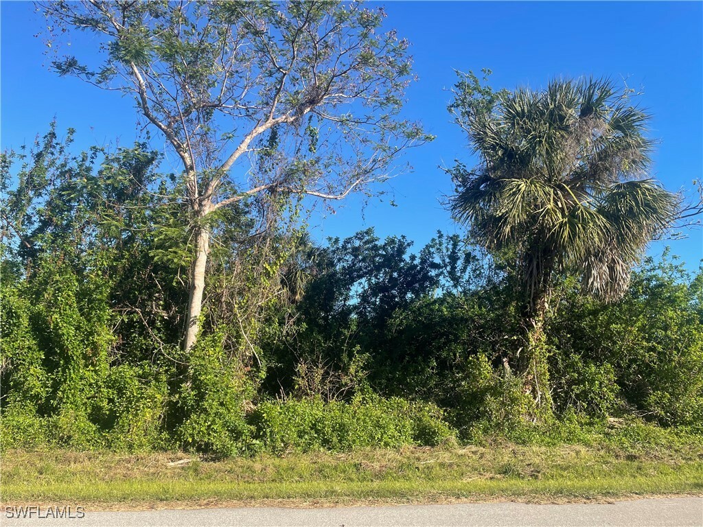 Property Photo:  26516 Flower Road  FL 33955 