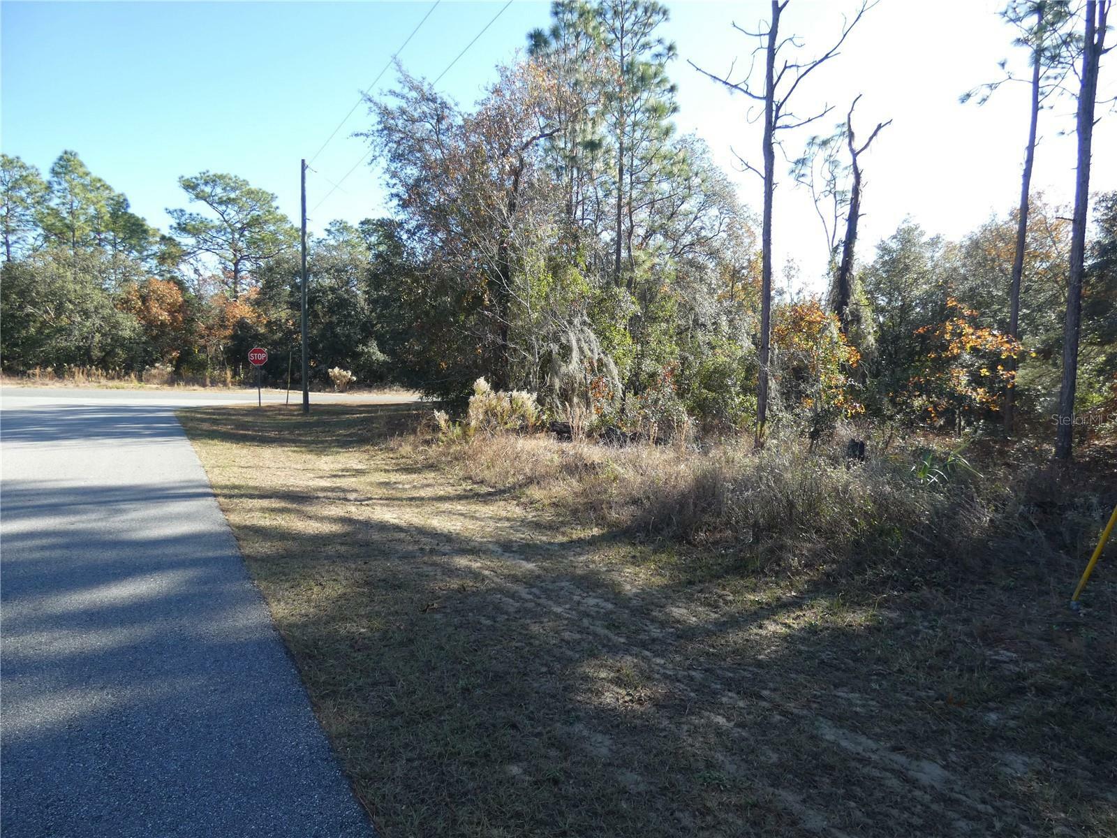 Property Photo:  76 W Navarro Place  FL 34434 