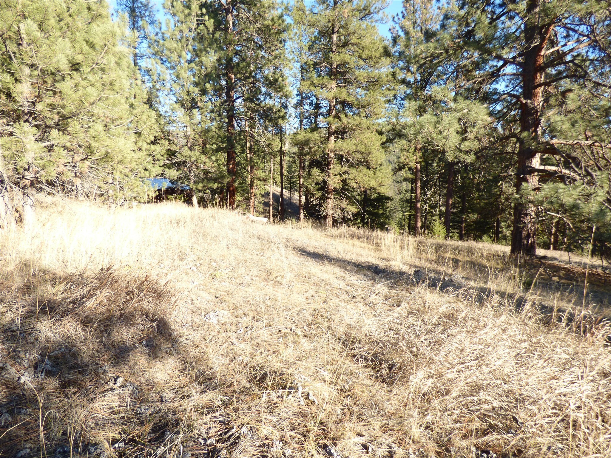 Property Photo:  Nhn Black Fox Trail  MT 59802 