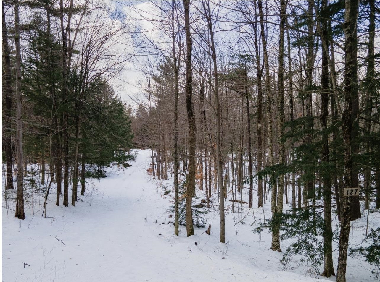 Property Photo:  127 Salmon  Brook Road  NH 03440 