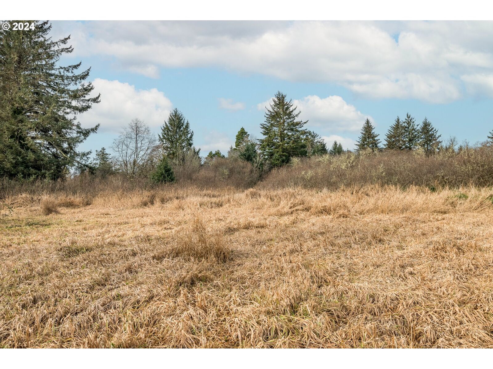 Property Photo:  2990 40th St  WA 98644 