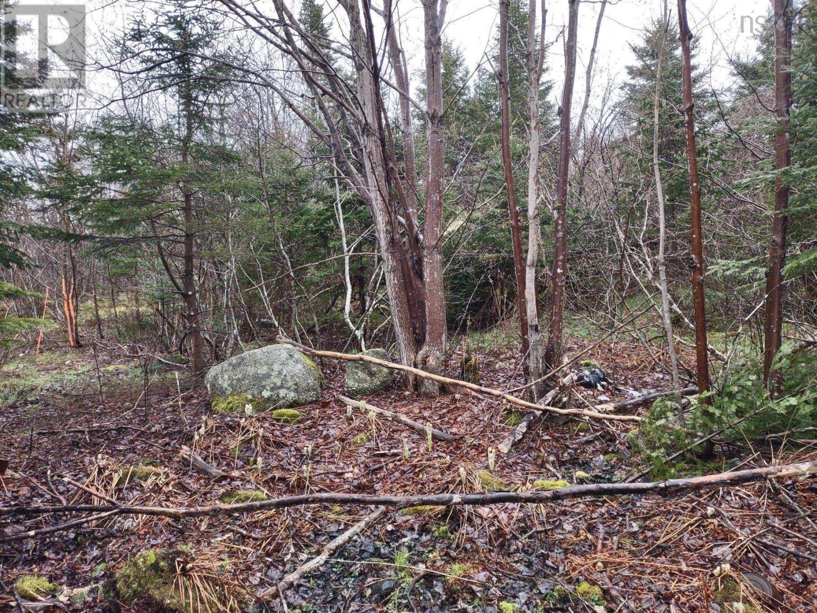 Property Photo: 1218 St Margarets Bay Road NS B3N 1J8