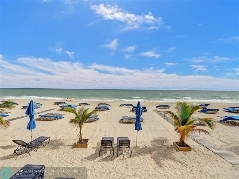 3700 Galt Ocean Dr 12156  Fort Lauderdale FL 33308 photo
