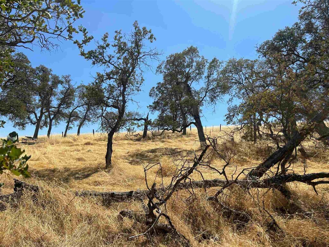 Property Photo: 5102 Fong CA 95228