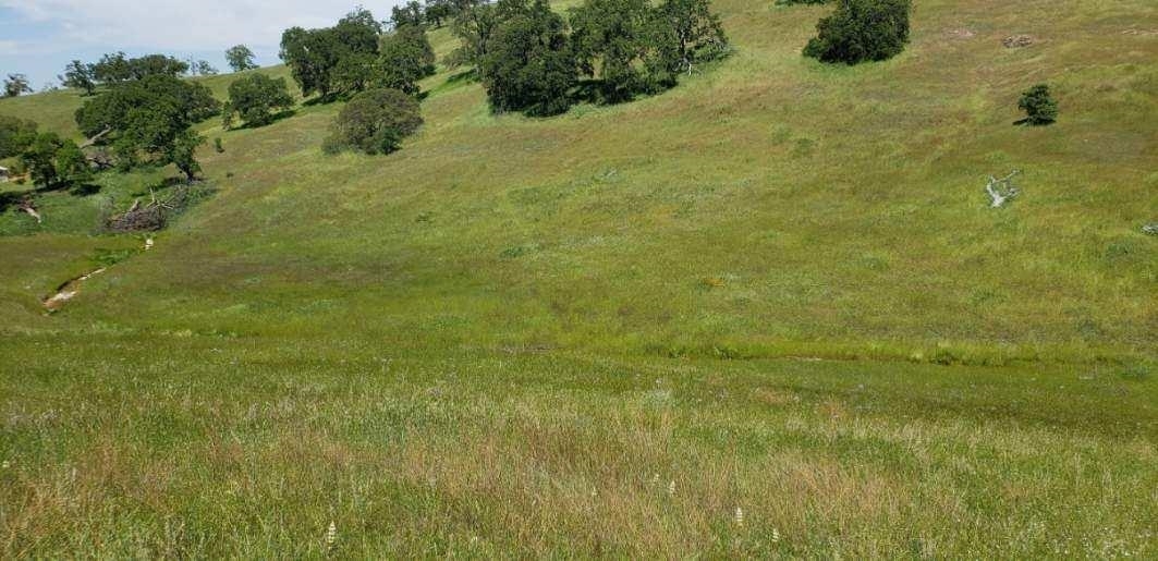 Property Photo: 10074 Banderilla CA 95329