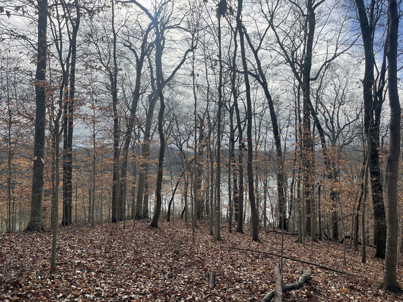 Property Photo:  Lot 11 Fishing Creek Estates  KY 42544 