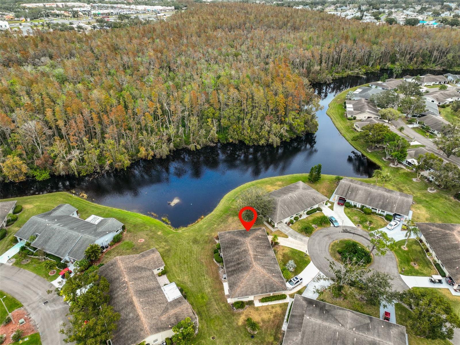 Property Photo: 2003 Halmrock Place FL 33573