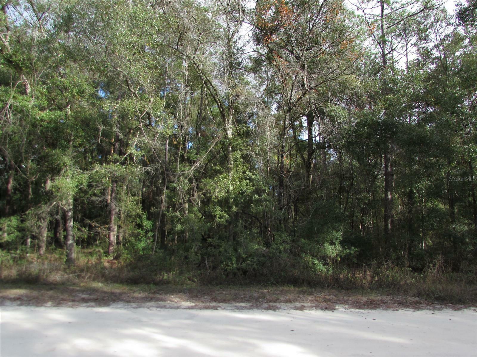 Property Photo:  Lot 6 SW 161 Court Road  FL 34481 