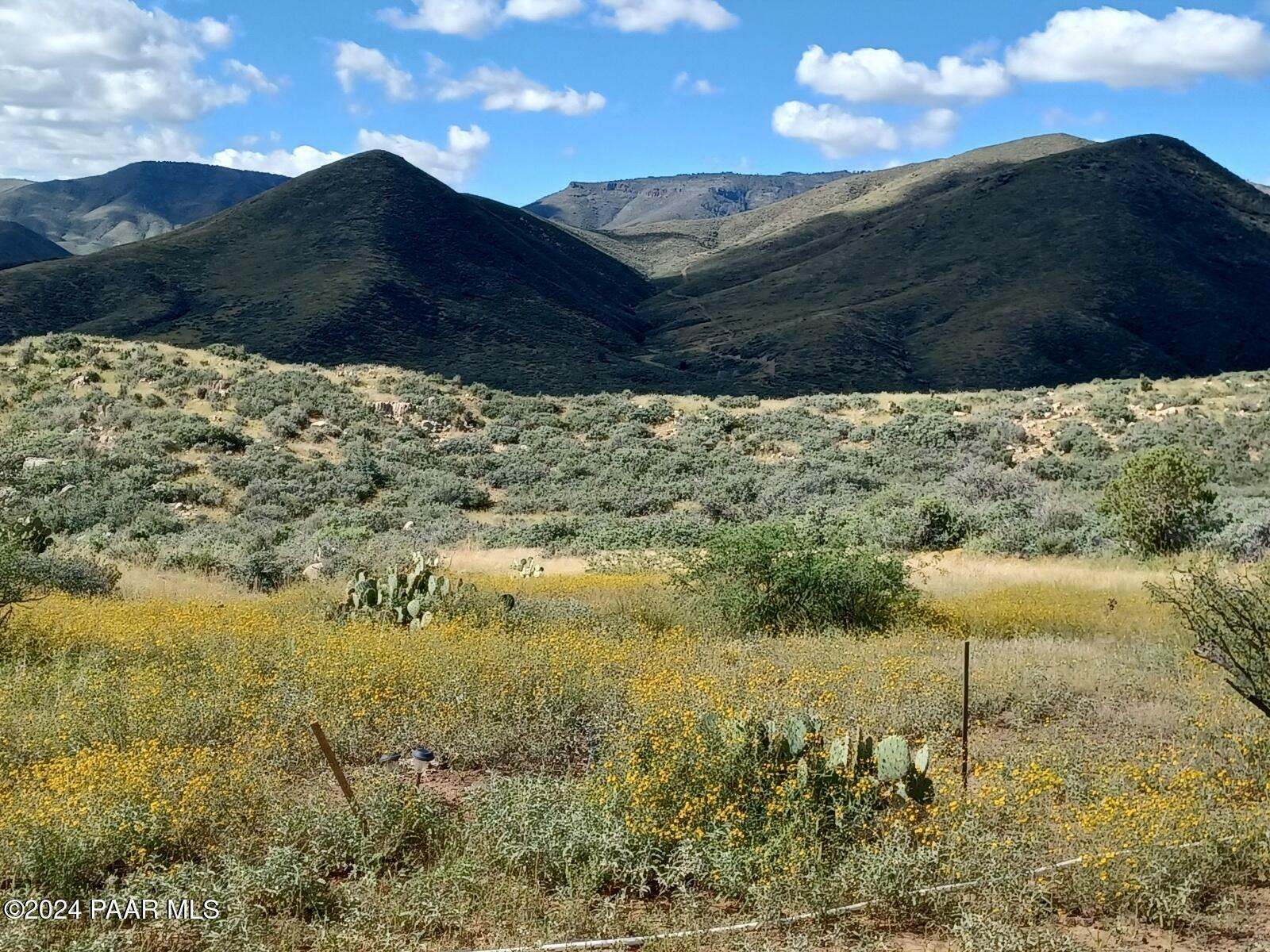 Property Photo:  27 Acres Vaca Bonita Rd And Miners Pick Road  AZ 86329 