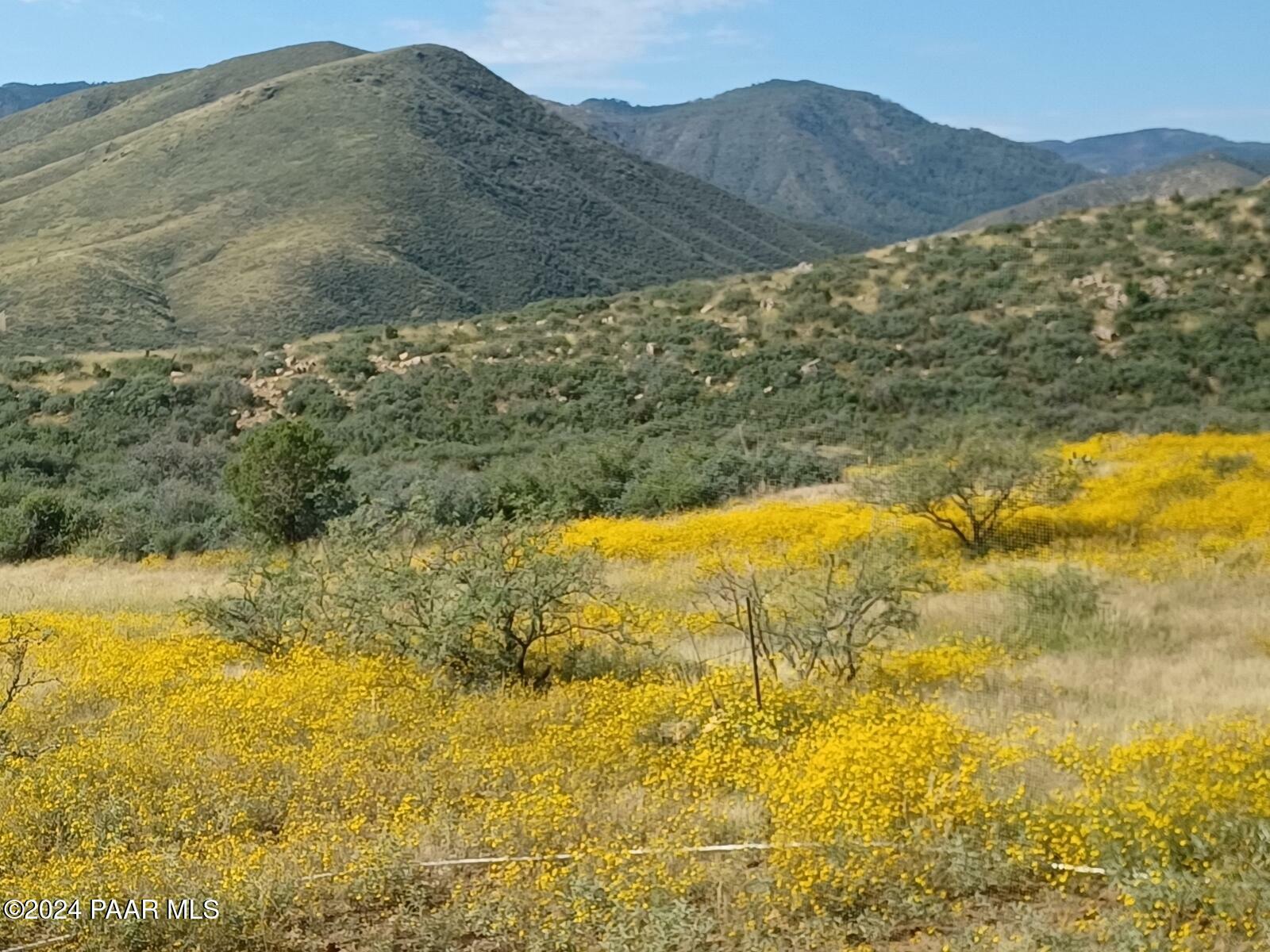 Property Photo:  10410 E Vaca Bonita Road  AZ 86329 