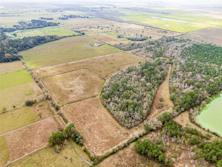 Property Photo:  Tbd Fm 1009  TX 77629 