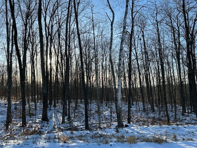 Property Photo: Lot 12 Birken Trail Road WI 54843