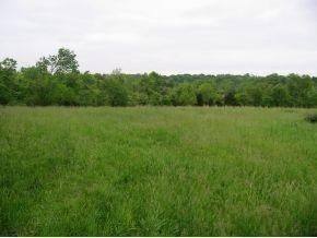 Property Photo:  8873 US 50  IN 47001 